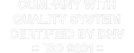 ins iso 9001 bw